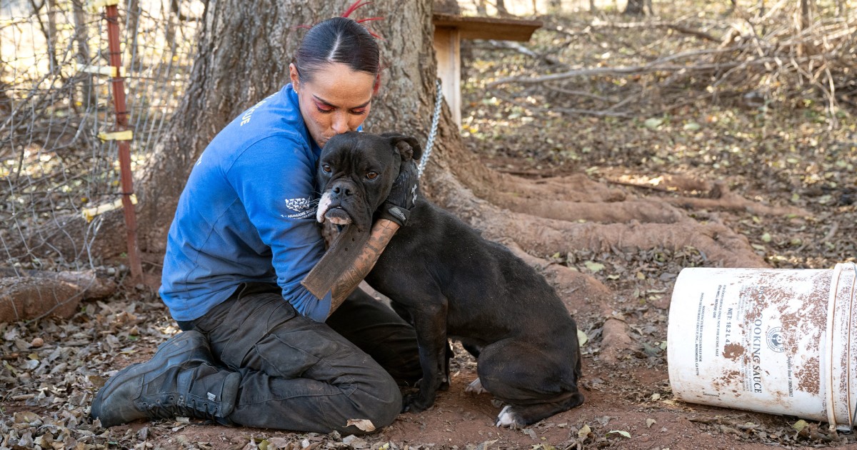 Oklahoma Rescue New beginnings for animals rescued from neglect and cruelty in Oklahoma ...