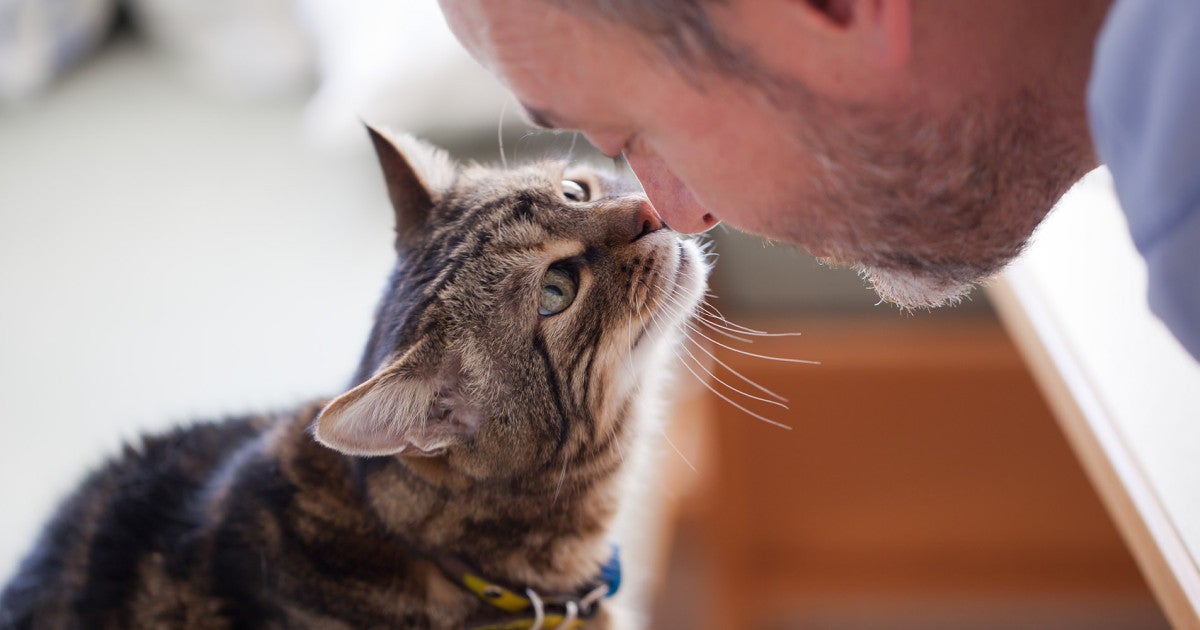 What your pet knows about you