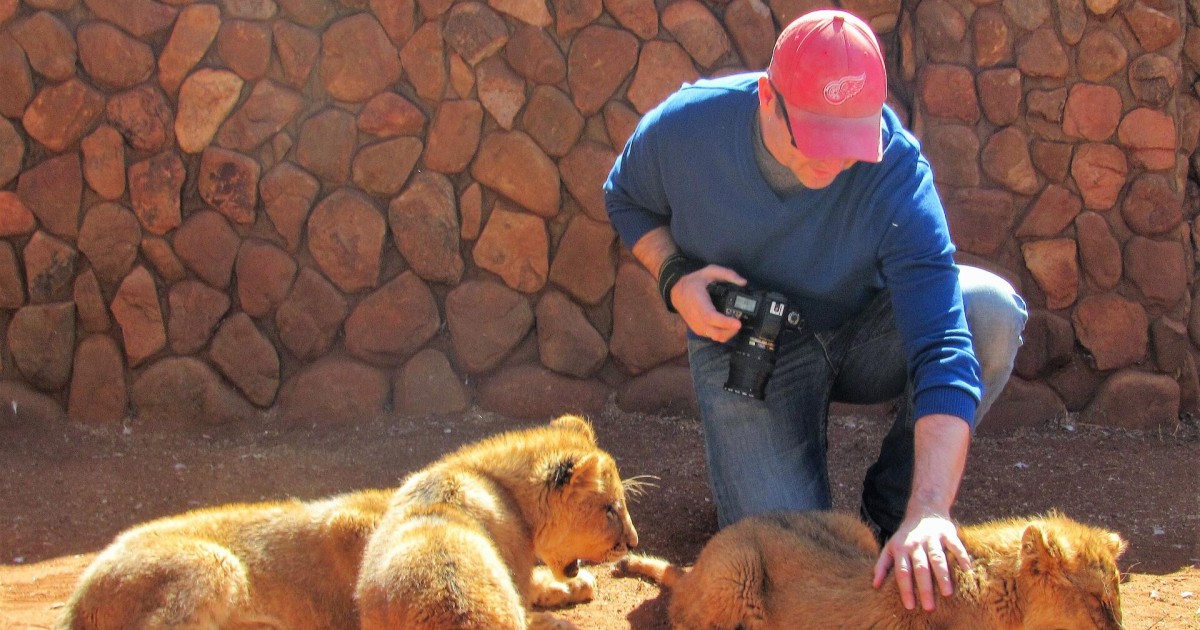 How Your Travel Choices and Purchases Are Impacting Animals