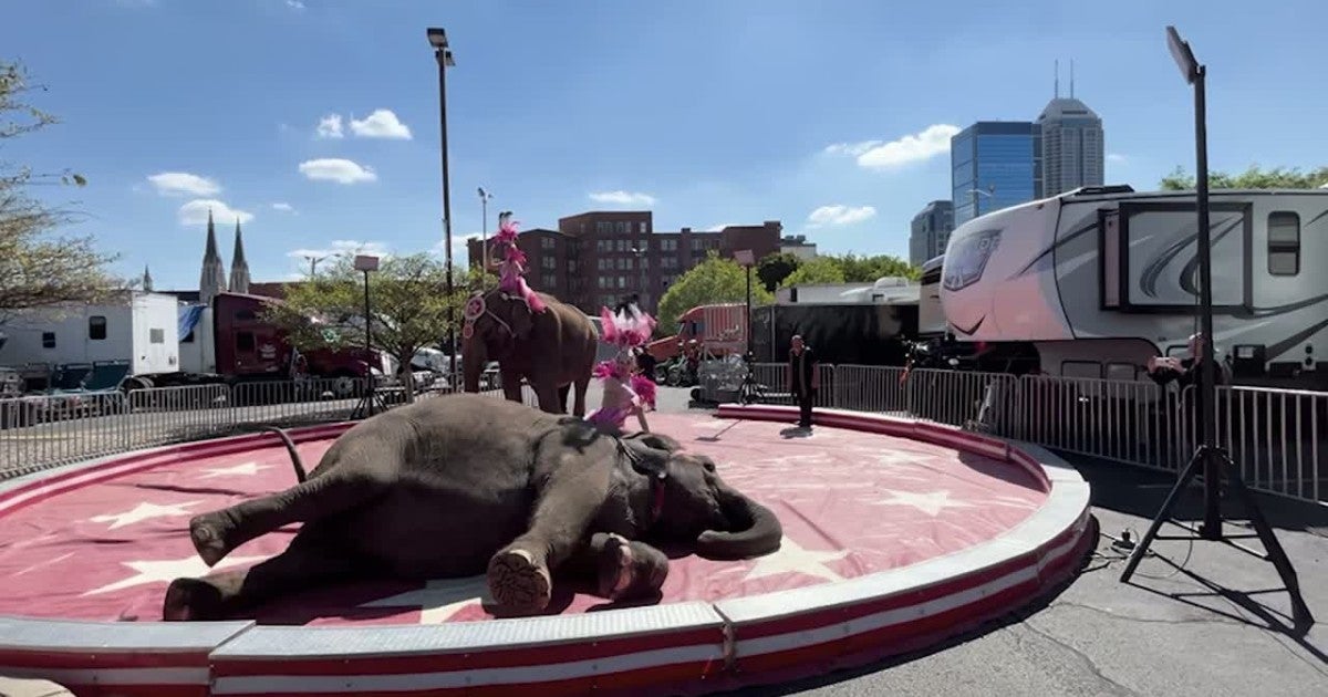 H344579_in-circus.jpg?h=