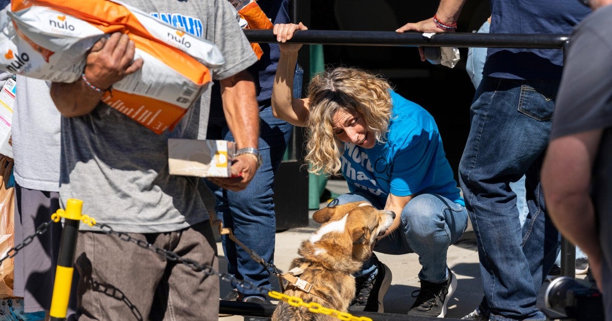 Everyone deserves the joy and companionship of having a pet