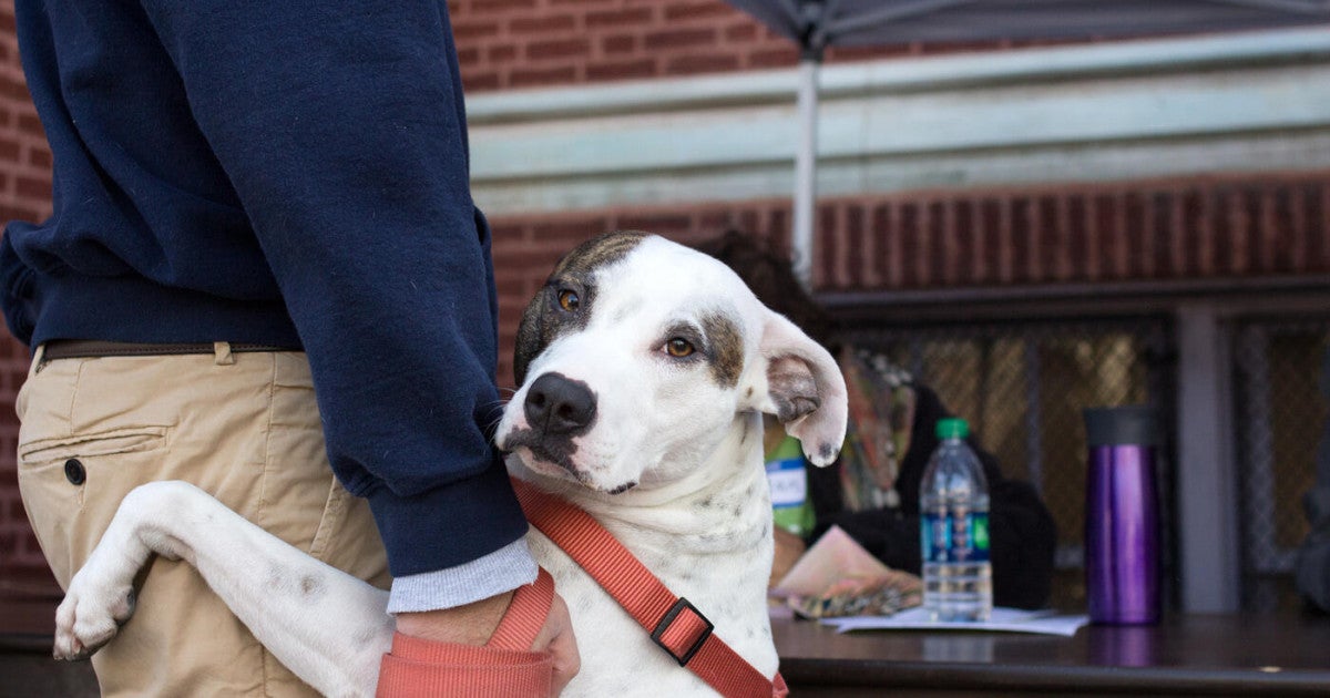 We are giving 0,000 in grants to pet food pantries across the US