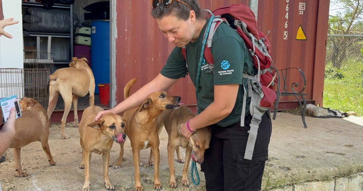 In the aftermath of Hurricane Melissa, our team brings aid to ...