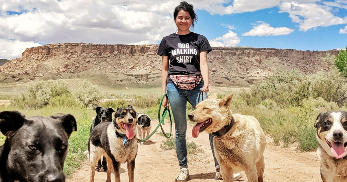 Finalists for animal welfare award drive meaningful change in their communities