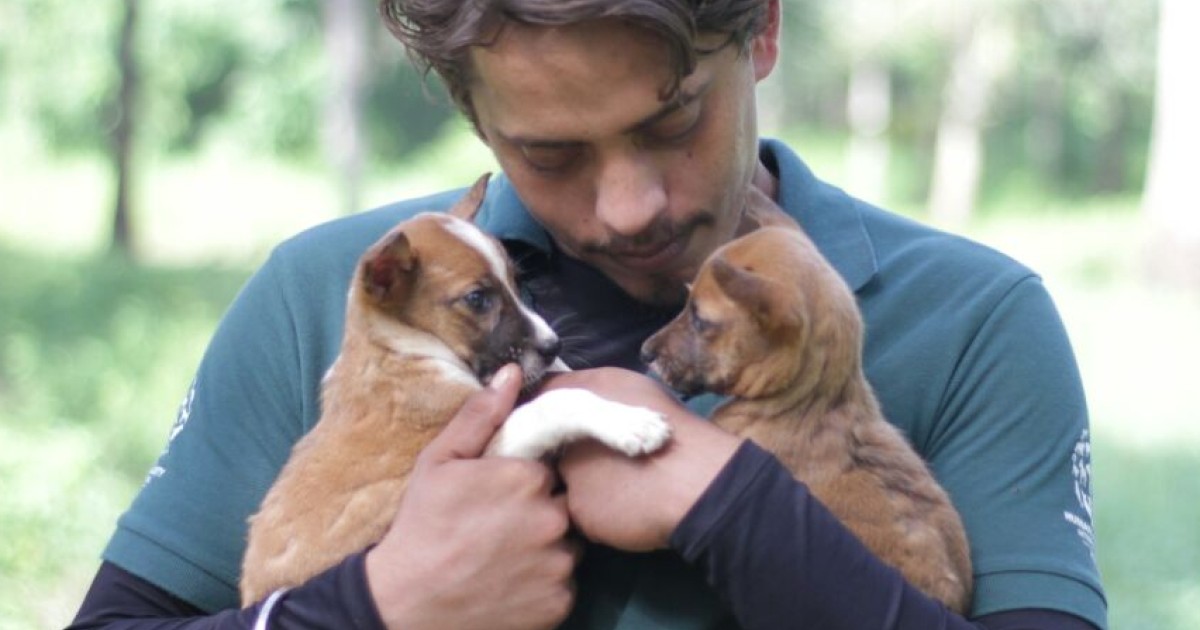 Animal charity pledges long-term help for Kerala as hundreds of animals ...