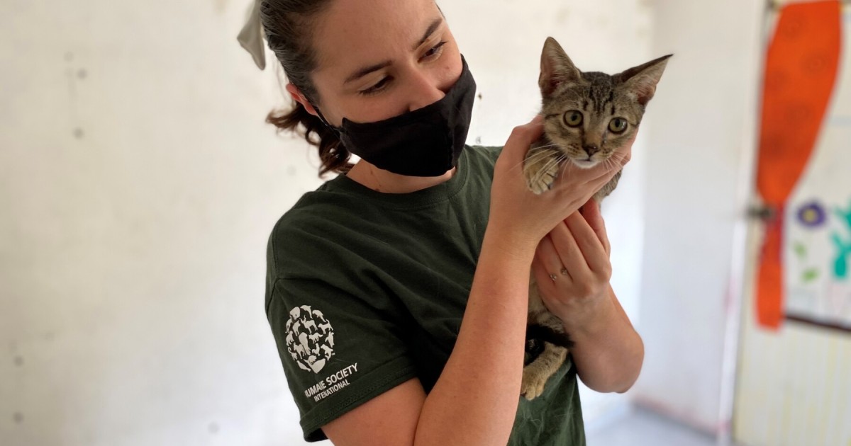 Humane Sa Humane Society International trains authorities in Mexico City, Yucatan ...