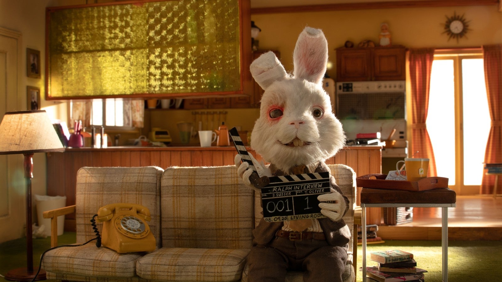 In HSI's 'Save Ralph,' a lovable spokesbunny makes a case for ending  cosmetics animal testing | Humane World for Animals, image size:1600x900