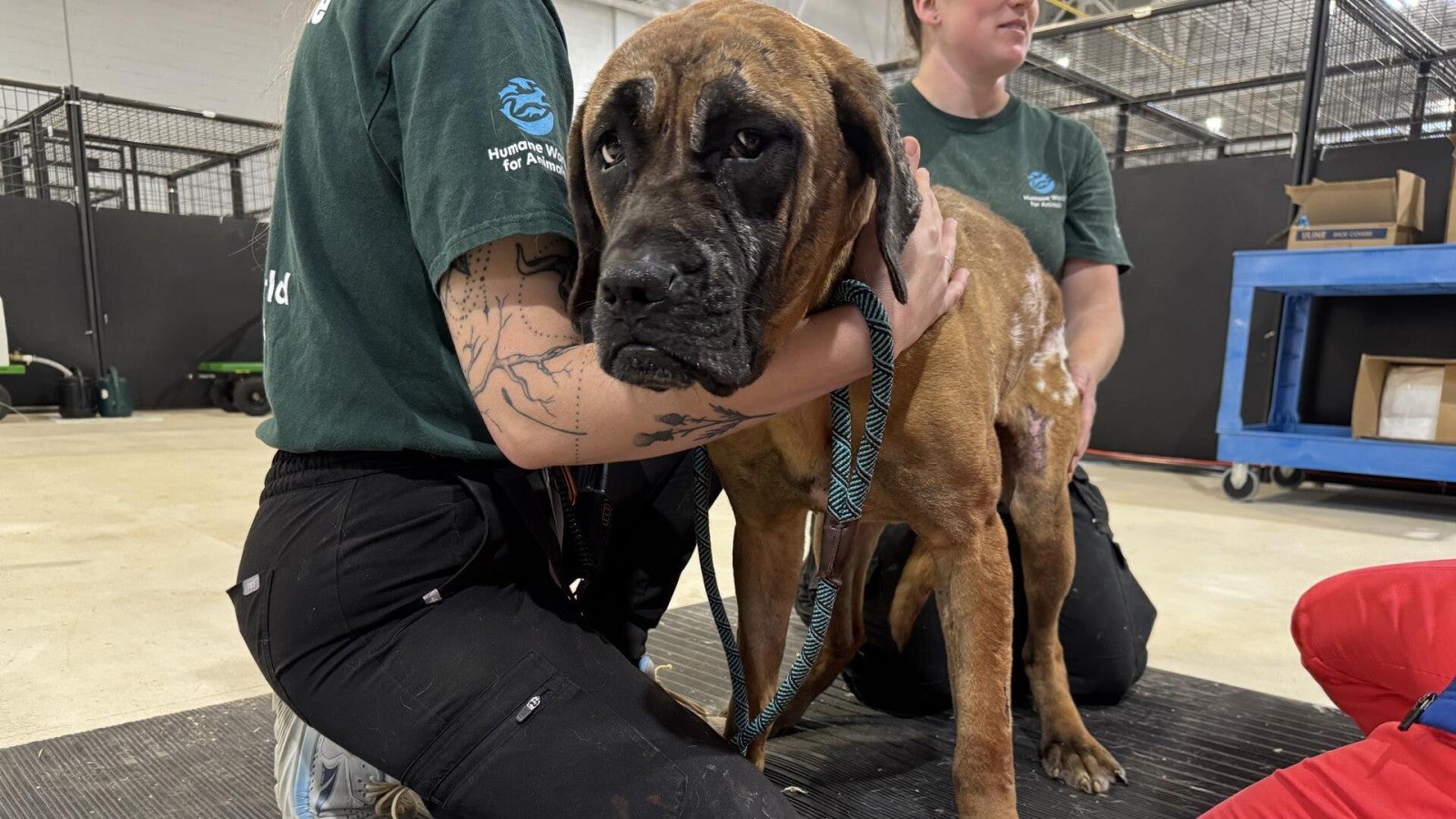 H333521_tosa-fire-rehab-center