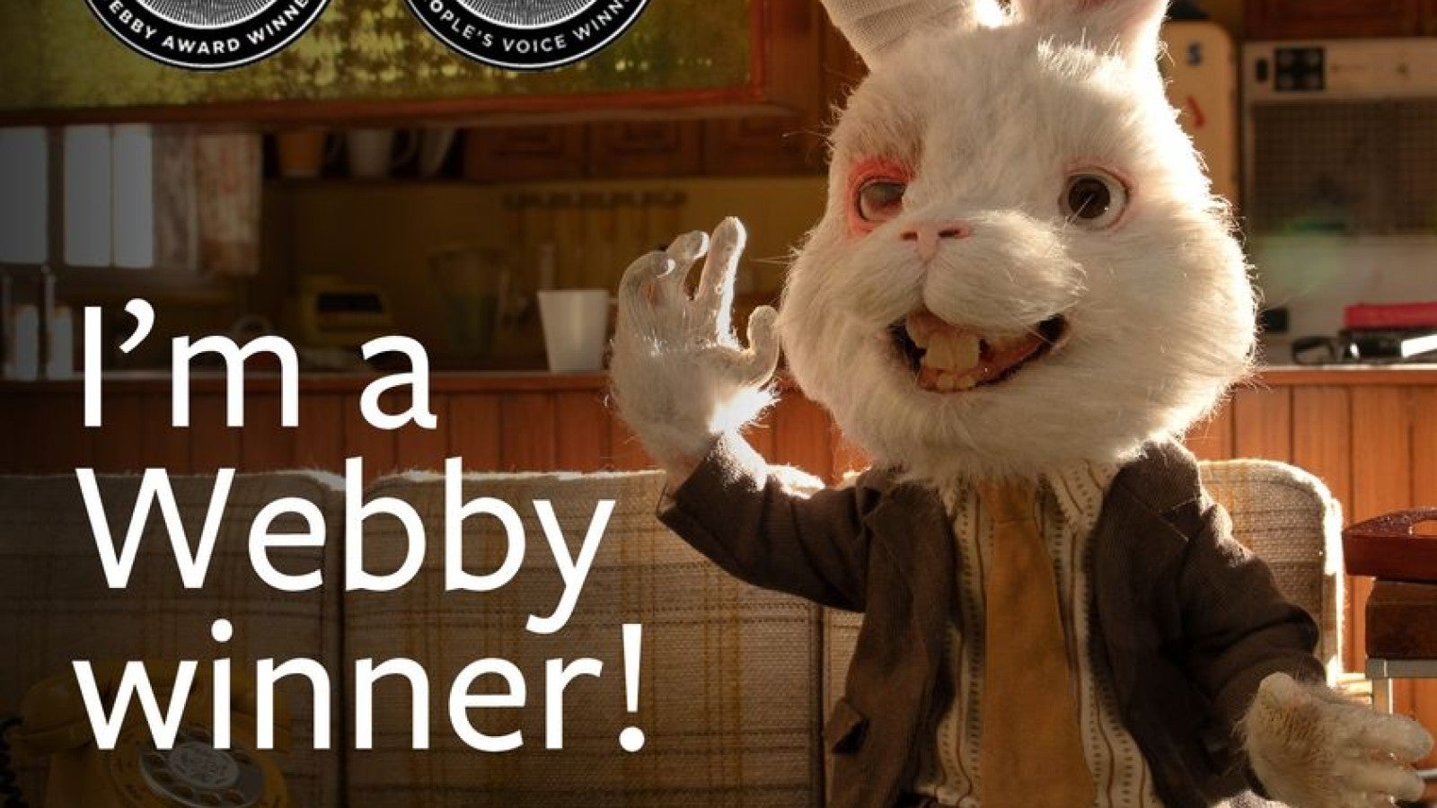 Humane Society International's Save Ralph campaign film wins two  prestigious Webby Awards | Humane World for Animals, image size:1600x900