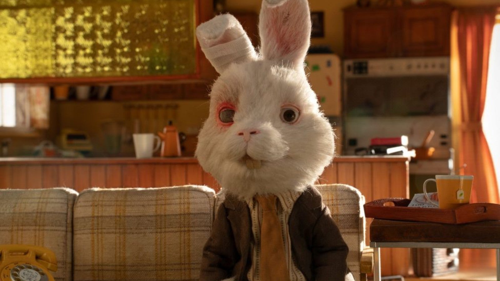 Humane Society International spokes-bunny Ralph urges Europeans to join non- animal testing movement | Humane World for Animals, image size:1600x900