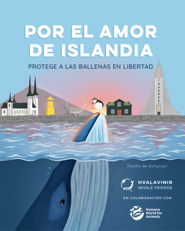 For the love of Iceland share graphic - spanish