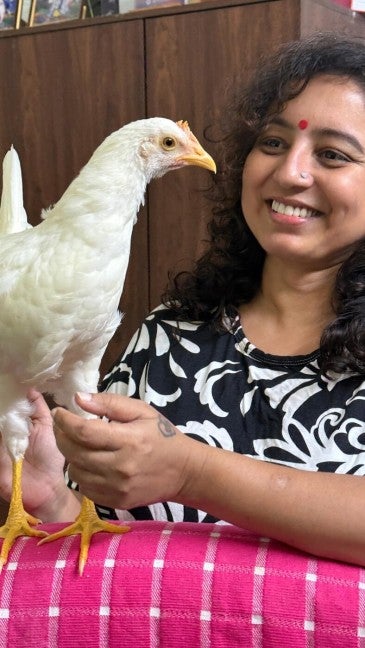 Tweety the rescue chick, India