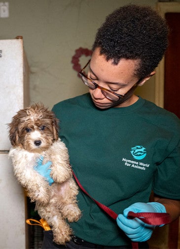 Humane World staffer, rescuing a dog from a puppy mill