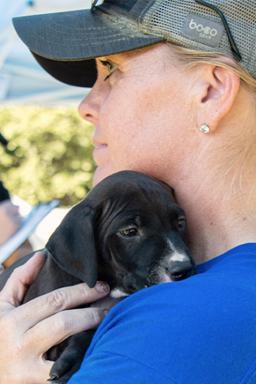 A woman cuddles a black puppy during a rescue. 