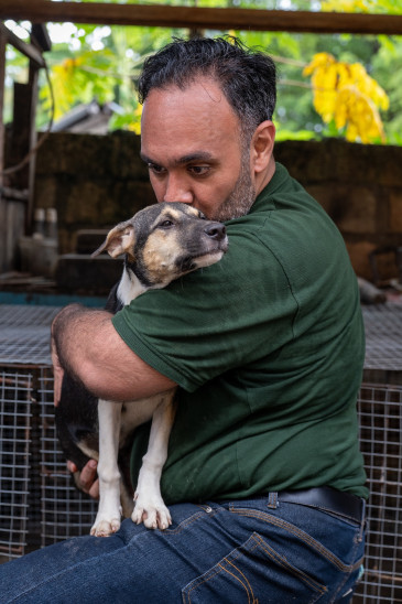 A Humane World for Animals staffer comforts a tricolored dog after removing her from her cage at a dog meat slaughterhouse in Kupang, Indonesia. The slaughterhouse closure and dogs’ rescue is conducted in conjunction with Jakarta Animal Aid Network (JAAN), as part of Humane World for Animals’ Models for Change program, where the slaughterhouse and restaurant owners will transition to animal-free livelihoods.